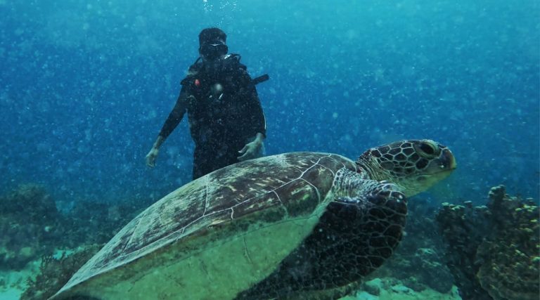 The Ultimate 3-Day El Nido Itinerary